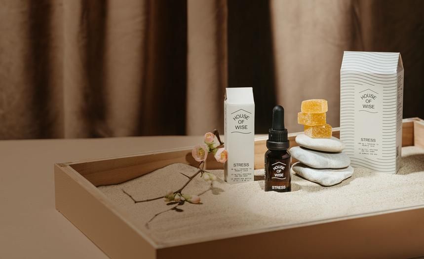 Miami-based House of Wise raises $2MM seed round