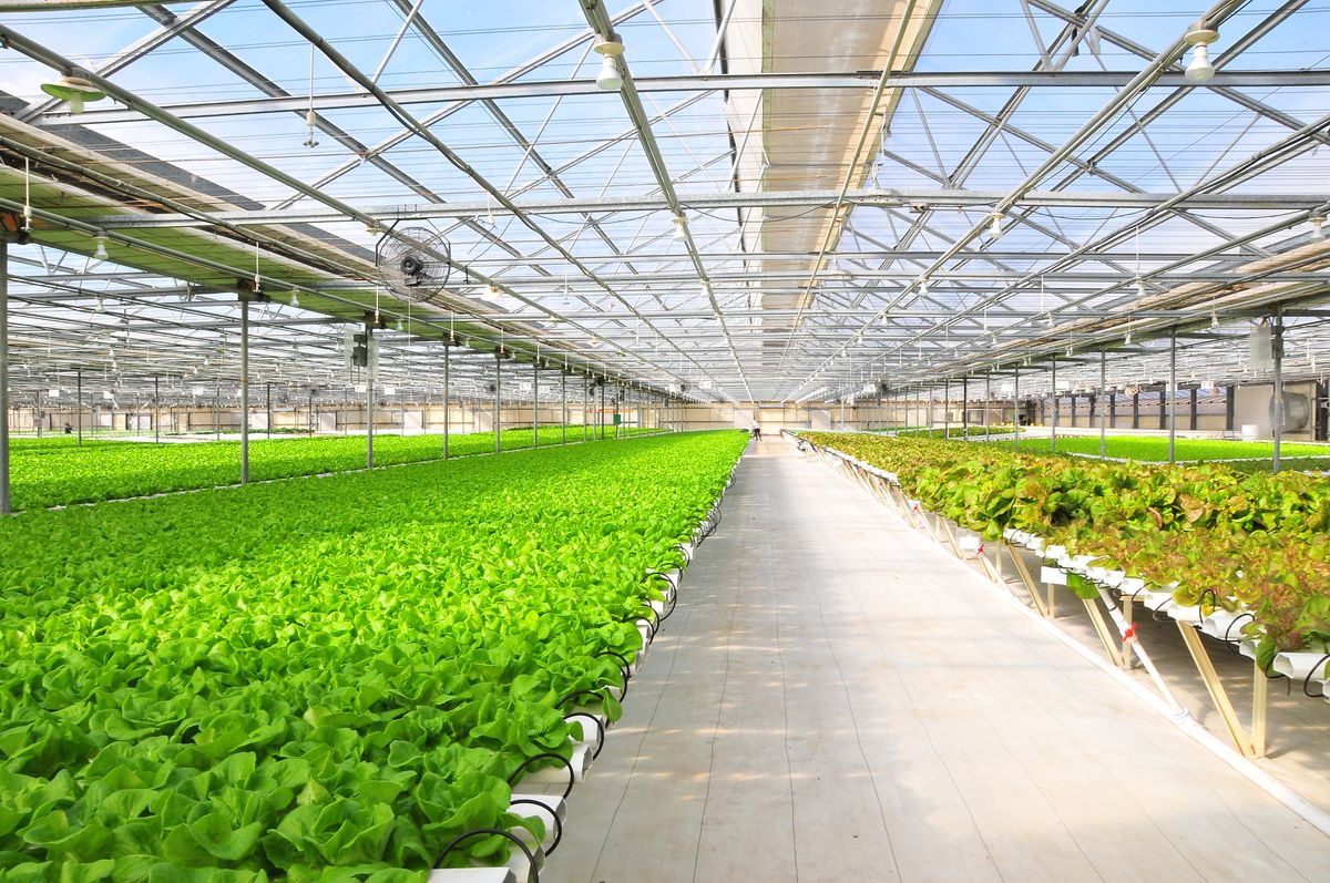 How this Miami Ag-tech startup is upgrading farming