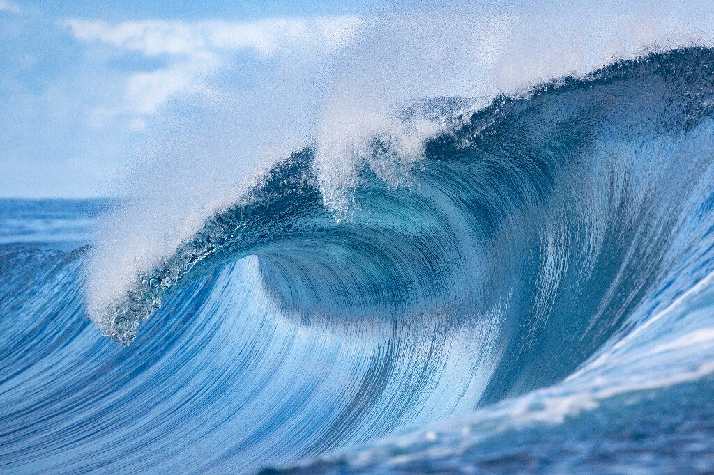 Saving the world's oceans one startup at a time