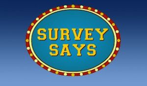 Survey Says: Hulu Users Watch More TV Than Netflix Users. Shocker.