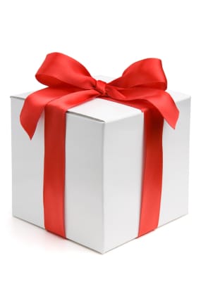 BestTechie 2012 Holiday Gift Guide