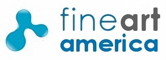 Fine Art America Photo Contest Promises The Stars, But Doesn't Deliver