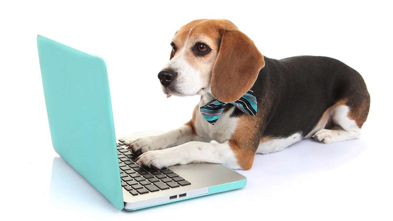 CES 2018: the 5 best pet gadgets from this year's show floor