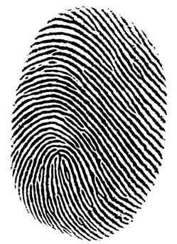 How To: Enhance Your Online Identity