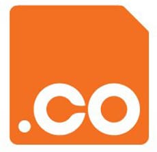 1 Year Later: Was .CO A Huge Bust?