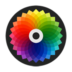 Color.com Sold for $350k