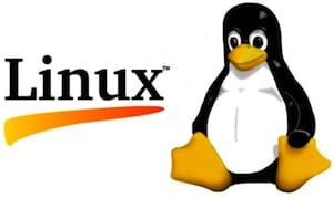 Why Linux Distributions Will Never Be Mainstream