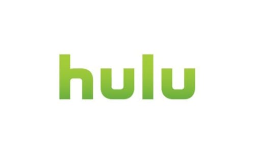 Will A Google Acquisition of Hulu Provide Worthwhile Synergy?