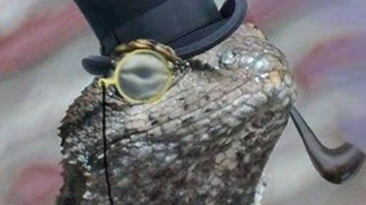 Kim Dotcom Stops Christmas Hack on PSN & Xbox LIVE