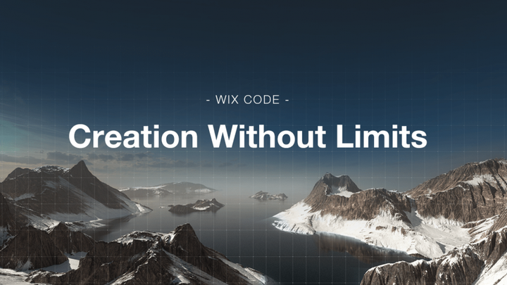 Review: Wix Code - not just another website builder